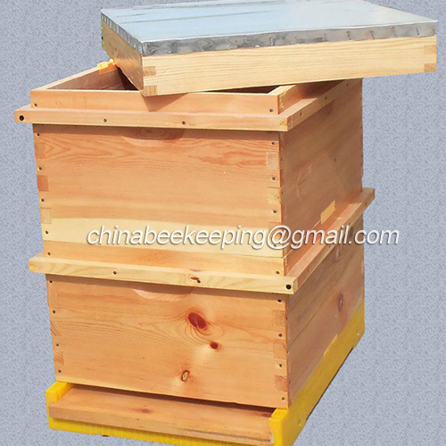 Assembled Beehive