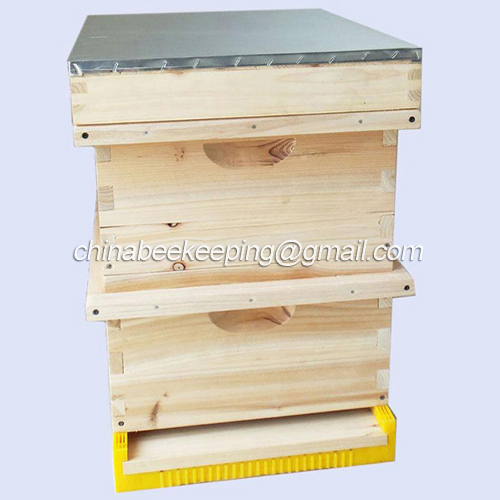 Assembled Beehive