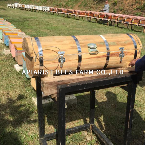 Cylindrical Hive